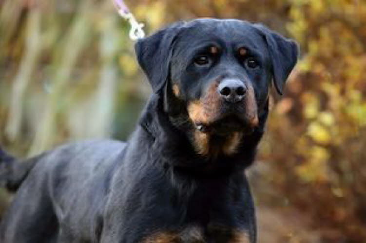 db_gXsRN130AhBiaqkP737oHWgjNyv45C9aQz6Kc7nJDM8-1